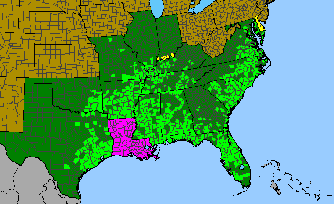 The range of Rhynchospora corniculata